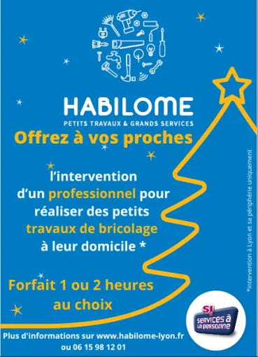 Un bricoleur à domicile comme cadeau de Noël utile à Lyon, Lyon, HABILOME
