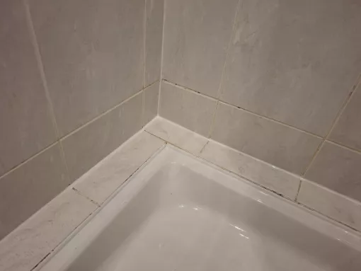 Joint silicone de douche et/ou baignoire, Lyon, HABILOME