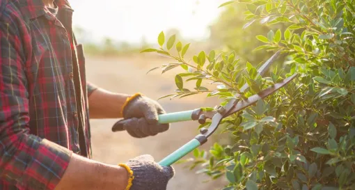 Les partenaires d'HABILOME sur Lyon pour des services complémentaires : jardinage, ménage, lavage de vitre, assistance informatique, portage de repas, adaptation de domicile, ..., Lyon, HABILOME