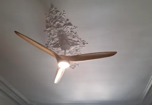 Ventilateur plafond 
