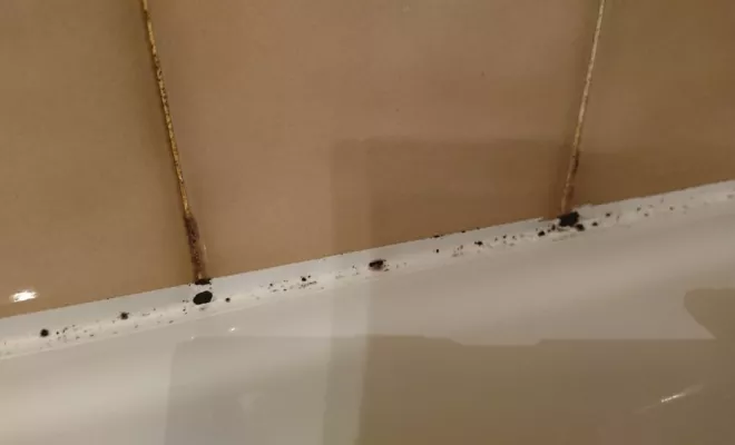 Réfection joint-silicone sur Lyon, Lyon, HABILOME