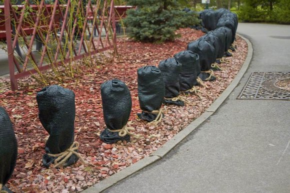 Société pour l’installation d’une housse d’hivernage sur une plante extérieure 