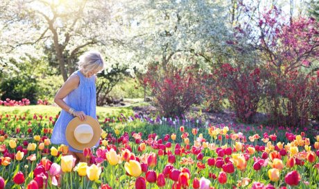 Femme dans un champ de tulipe