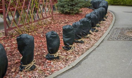 Société pour l’installation d’une housse d’hivernage sur une plante extérieure 